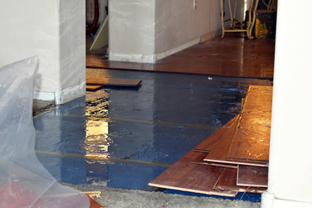 Professional Water Extraction technician working in Higgins Lake, MI